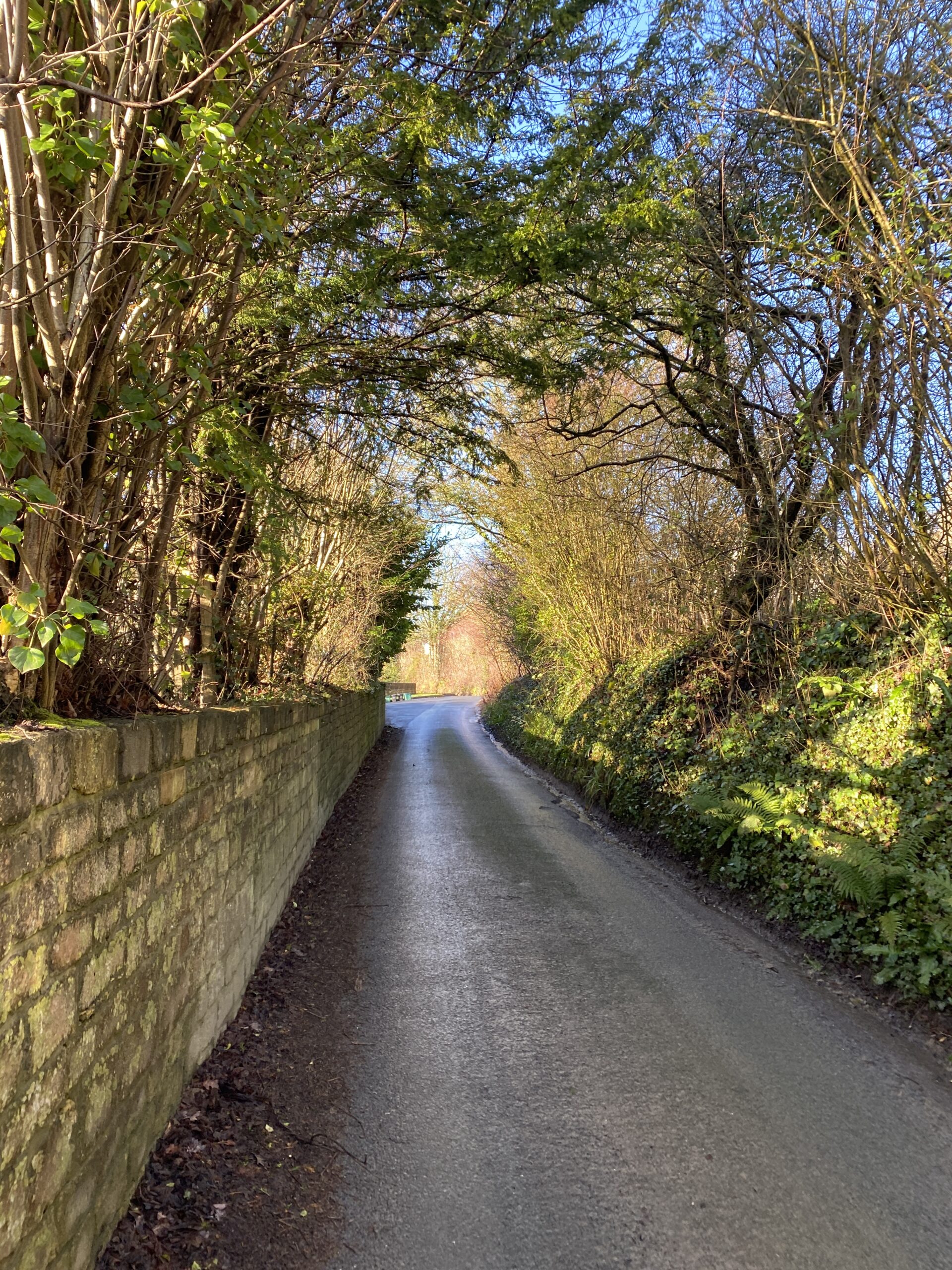 Green Grass and Cool Air